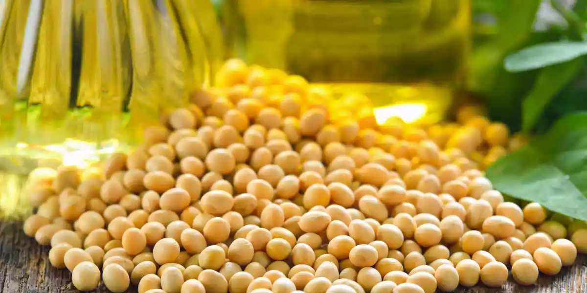 Soybeans and soybean oil