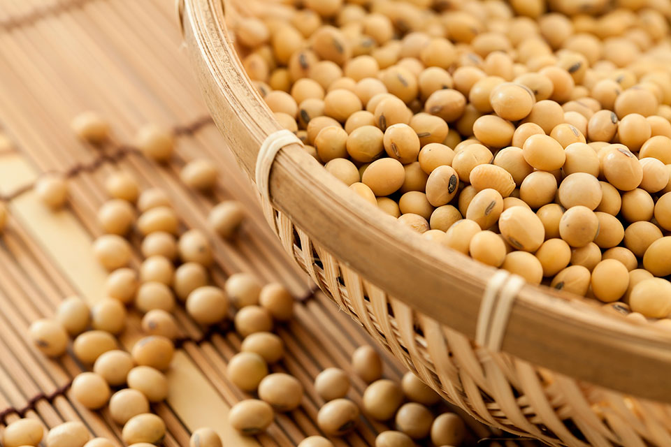 Beneficios del aceite de soya en tu cocina y en tu salud